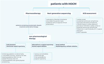 Non-pharmaceutical Interventions for Hypertrophic Cardiomyopathy: A Mini Review